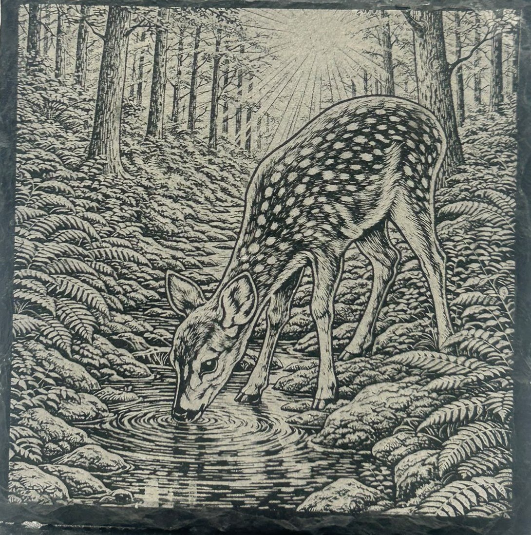 Deer beside a woodland stream engraved on slate